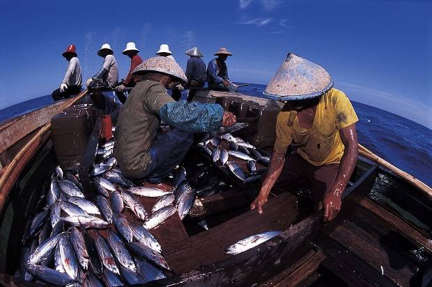 Maluku Bakal Jadi Lumbung Ikan Nasional, Ini Beragam Infrastruktur yang Dibangun