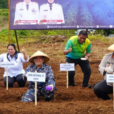 Pemkot Ambon – Lantamal IX Gelar Penanaman Cabai dan Kedelai Serentak