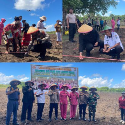 Kapolres MBD Resmikan Penanaman Jagung Serentak Kuartal I Dukung Swasembada Pangan 2026