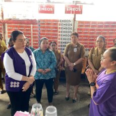 Lisa Wattimena Pastikan SPM di Posyandu Negeri Soya Optimal