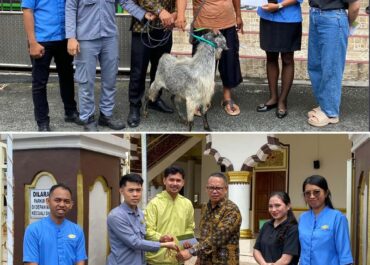 Salurkan Hewan Kurban , Hotel Santika Premiere Ambon Berbagi Berkah Idul Adha 2026