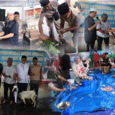 Sembelih 18 Sapi dan 3 Kambing Hewan Kurban ,Bentuk Kepedulian Kejati Maluku di Idul Adha 1447 H