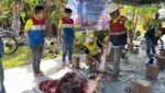 Salurkan Hewan Kurban Bagi Masyarakat,Pertamina Patra Niaga Papua Maluku Berbagi Keberkahan Iduladha