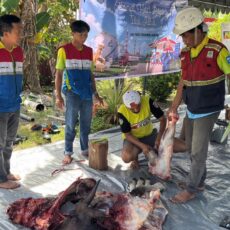 Salurkan Hewan Kurban Bagi Masyarakat,Pertamina Patra Niaga Papua Maluku Berbagi Keberkahan Iduladha
