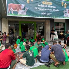 Idul Adha 1447 H: Pegadaian Maluku Salurkan 4 Ekor Sapi