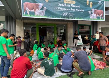 Idul Adha 1447 H: Pegadaian Maluku Salurkan 4 Ekor Sapi