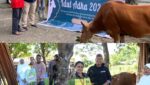 Salurkan Hewan Kurban ke Wetar, Tiakur, dan Ambon, BKP-BTR Perkuat Harmoni dengan Masyarakat