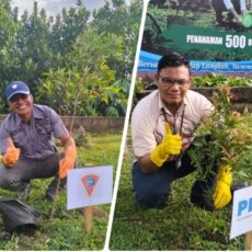 PNM Tanam 500 Pohon Dukung Kota Ambon Hijau