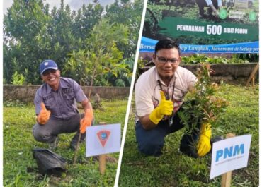 PNM Tanam 500 Pohon Dukung Kota Ambon Hijau